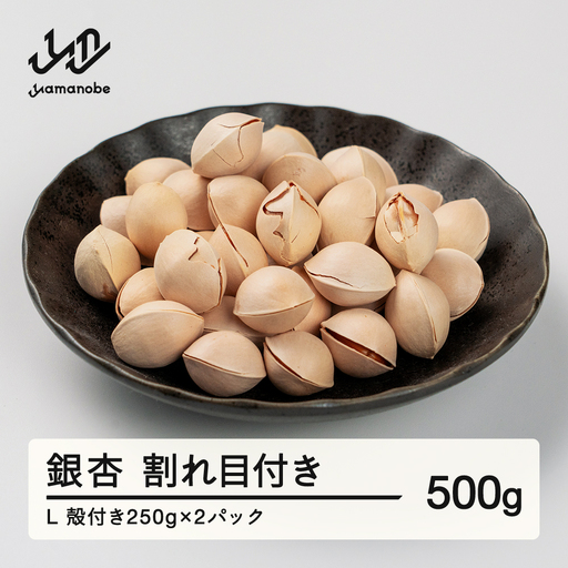 [先行予約]2026年 山形県産 銀杏 割れ目付き L 約500g(250g×2パック) 2026年10月上旬から順次発送 ぎんなん おつまみ 個包装 小分け 秋 野菜 it-giwlx500