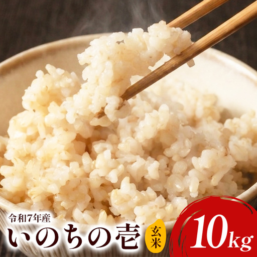 【令和7年産】いのちの壱（玄米）10kg B08-006