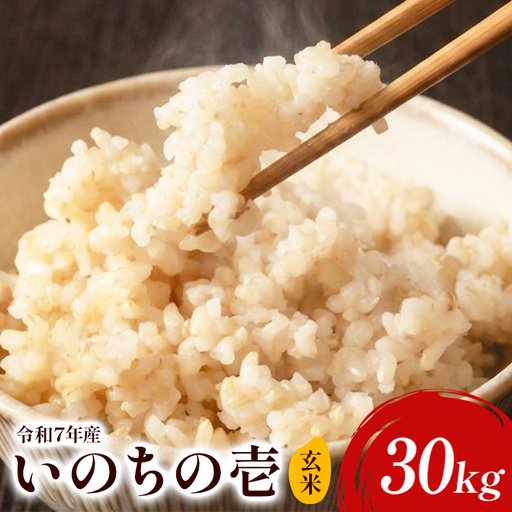 【令和７年産】いのちの壱（玄米）30kg B08-007