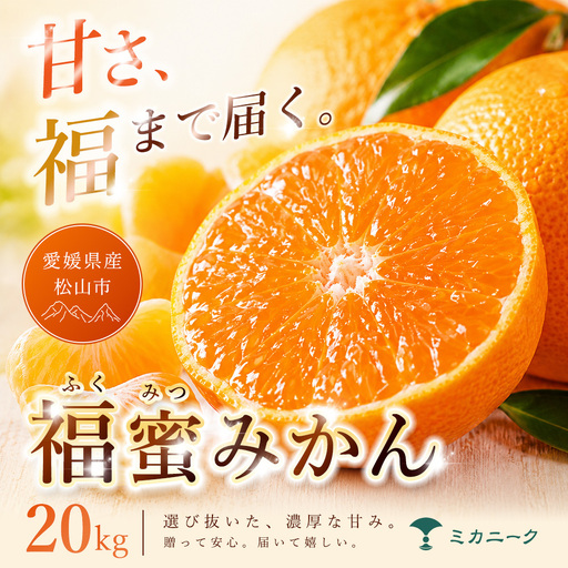 みかん 家庭用 20kg 愛媛県産 【2026年11月上旬頃から順次発送】  温州みかん ミカン mikan 【MKN049】