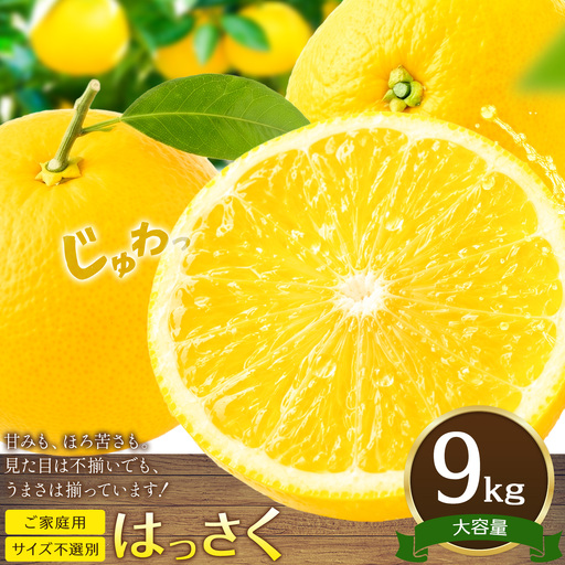 ご家庭用はっさく八朔約9kg