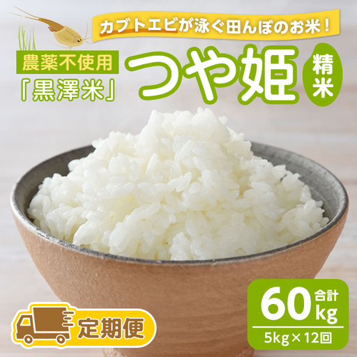 [12回定期便]農薬不使用 つや姫 精米 合計60kg(5kg×12回)[カブトエビ田んぼで育てたお米] 黒澤米 宮城県登米市産 お米 おこめ 米 コメ 白米 ご飯 ごはん おにぎり お弁当 頒布会 [株式会社天体]tm453