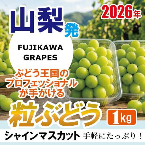 手軽に楽しむ《徳用・粒ぶどう》 【シャインマスカット】 1.0kg（パック包装） 【2026年発送分 先行予約】- FUJIKAWA GRAPES -
