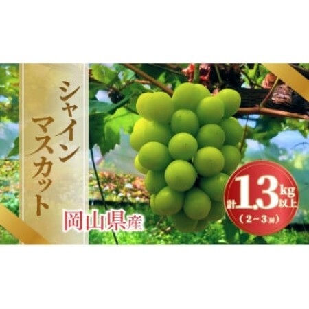 《2026年発送》岡山県産 シャインマスカット 1.3kg以上 2～3房【配送不可地域：離島・北海道・沖縄県】【1736765】