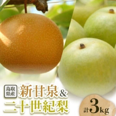 二十世紀梨と新甘泉のセット 3kg【配送不可地域：離島・北海道・沖縄県】【1733729】