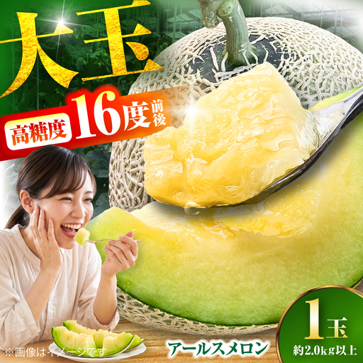 【数量限定30セット】神奈川県産 津久井浜 温室メロン アールスメロン 大玉 糖度16度前後 約2.0kg以上 1玉[AKJG001]