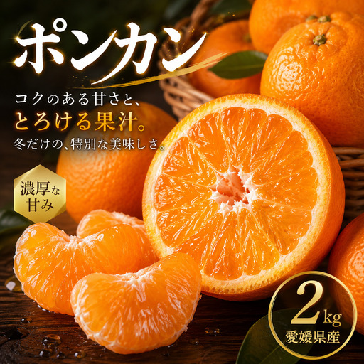 ポンカン 家庭用 2kg [2027年1月中旬頃から順次発送] | ぽんかん みかん ミカン mikan 蜜柑 訳ありフルーツ 柑橘 果物 おすすめ お勧め お取り寄せ ギフト 愛媛県 松山市 