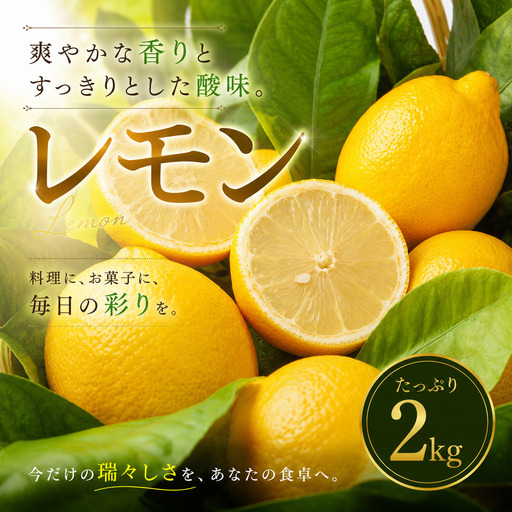 イエロー レモン 家庭用 2kg [2027年1月中旬頃から順次発送] | れもん レモン lemon 檸檬 訳あり フルーツ 柑橘 果物 おすすめ お勧め お取り寄せ ギフト 愛媛県 松山市 