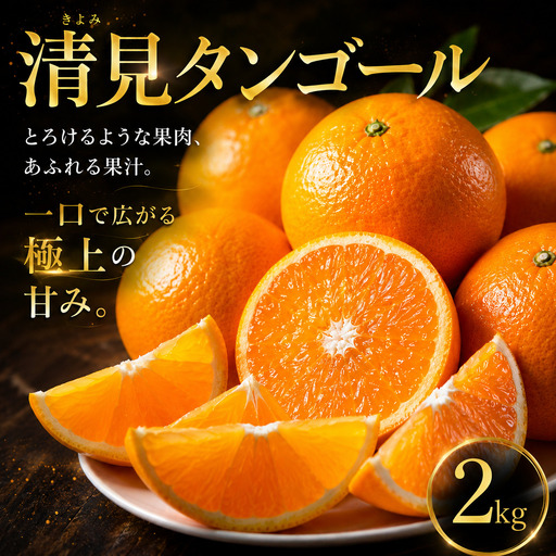 清見タンゴール 家庭用 2kg [2027年2月下旬頃から順次発送] | 清見 タンゴール みかん ミカン mikan 蜜柑 訳ありフルーツ 柑橘 果物 おすすめ お勧め お取り寄せ ギフト 愛媛県 松山市 