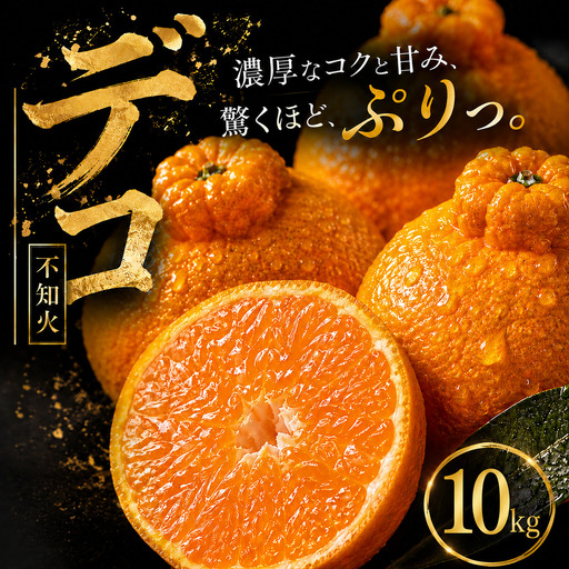 不知火 (デコポン と同品種) 家庭用 10kg 【2027年1月下旬頃から順次発送】 | でこぽん しらぬい shiranui みかん ミカン mikan 蜜柑 訳ありフルーツ 柑橘 果物 おすすめ お勧め お取り寄せ ギフト 愛媛県 松山市 【MKN087】