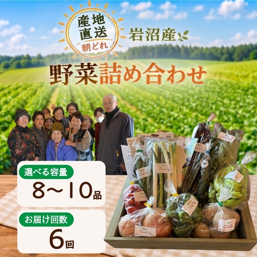 【定期便6ヶ月】 産地直送 朝どれ 新鮮野菜 8～10種類 詰め合わせ セット 野菜