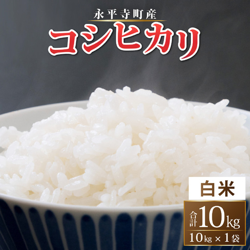 【令和8年度産 新米 先行予約】【白米】永平寺町産 コシヒカリ 白米 10kg こめ ごはん 精米 ご飯 お試し 白米 こしひかり