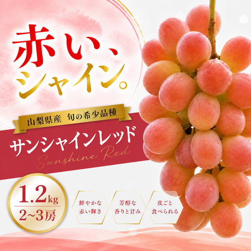 [2026年発送]先行予約 サンシャインレッド 1.2kg 2〜3房 山梨県産 希少 赤系ぶどう シャインマスカット系 [山梨県笛吹市 産地直送]ぶどう フルーツ 果物 209-011-26y