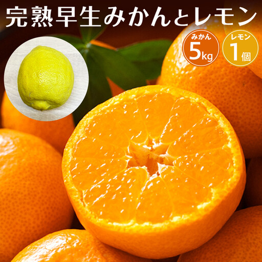 [先行予約]完熟早生みかん5kgと璃の香(レモン)1個[2026年12月下旬以降発送]| 湯河原町 みかん レモン 果物セット フルーツ ギフト 果物