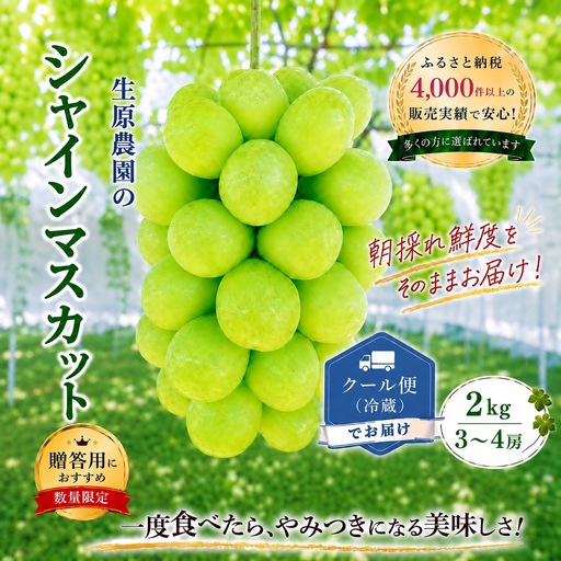 【2026年発送★先行予約】フルーツ王国笛吹市の大粒シャインマスカット3~4房 2kg  137-003-26y