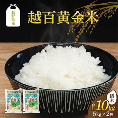 長野県産 越百黄金米(精米)5kg×2袋【1737901】