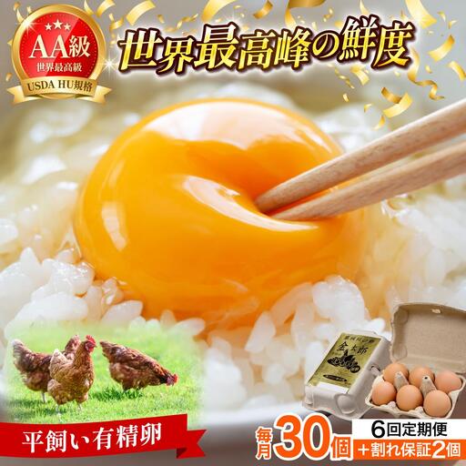  ＜定期便・全6回＞鮮度AA級の世界最高ランク！金太郎卵 平飼い たまご 30個（6個×5パック）