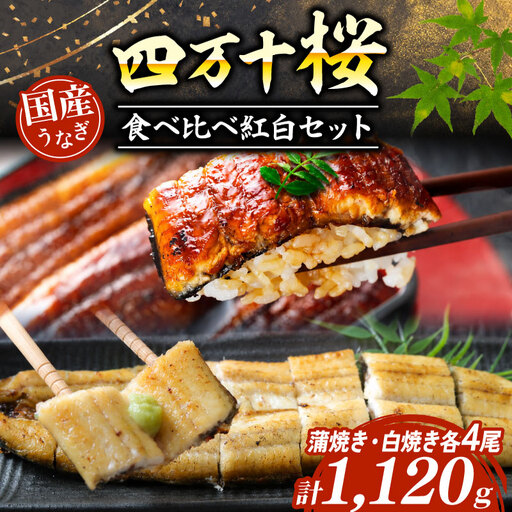 うなぎ 食べ比べ 蒲焼き 白焼き 各4尾 国産 うなぎ 