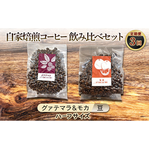 【厳選2種の3ヶ月定期便】芳醇なフルーティー飲み比べセット・自家焙煎コーヒー (ハーフサイズ豆)(グァテマラ111g、モカ143g) 珈琲