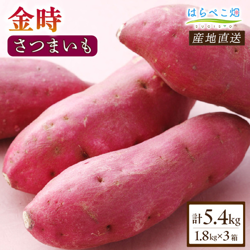 【ホックホク食感の優しい甘み】さつまいも金時 1.8kg 3箱・H116