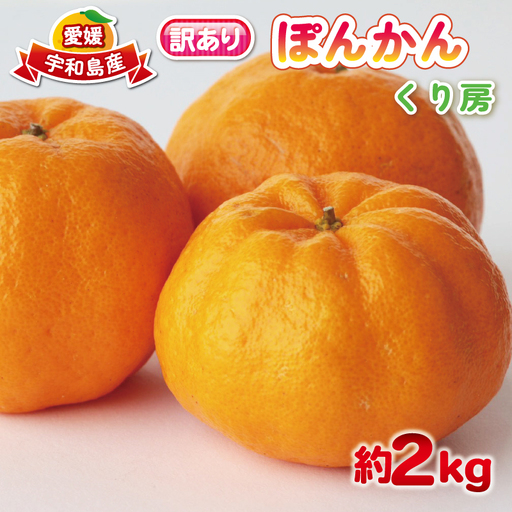 訳あり ぽんかん 約 2kg くり房 ぼんかん