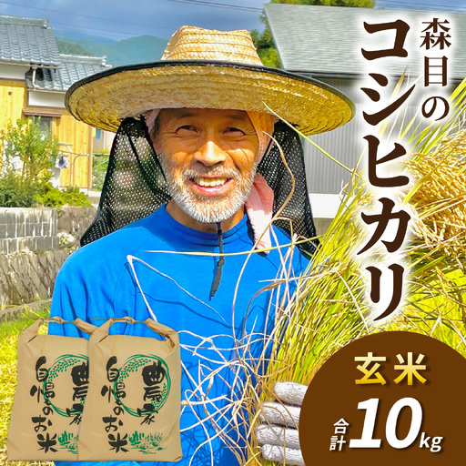 新米 こしひかり 玄米 10kg 新米 【令和8年産 先行予約】