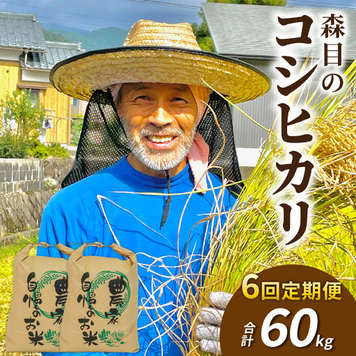 【新米予約受付中】令和8年産森目のコシヒカリ玄米定期便60kg(毎月10kg×6か月)[K-008006]