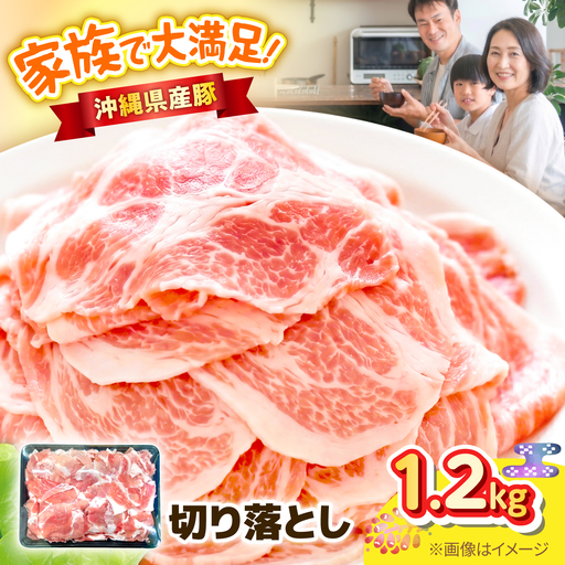 豚肉 切り落とし 1.2kg 小分け