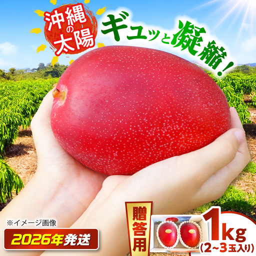 [贈答用]マンゴー「太陽のめぐみ」 1kg(2〜3玉) (化粧箱入り)