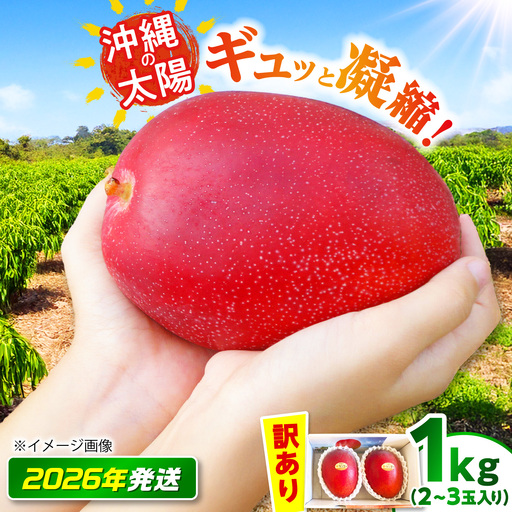 [訳あり]マンゴー 太陽のめぐみ 1kg