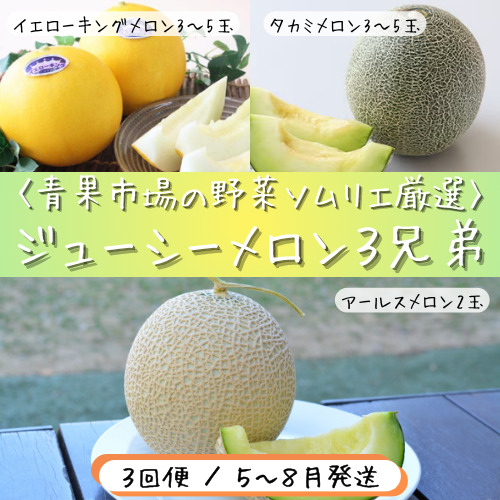 青果市場の野菜ソムリエ厳選 ジューシー メロン 3兄弟 定期便 全3回