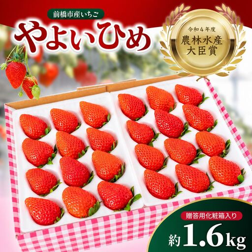 いちご やよいひめ 1.6kg 農林水産大臣賞受賞 大容量