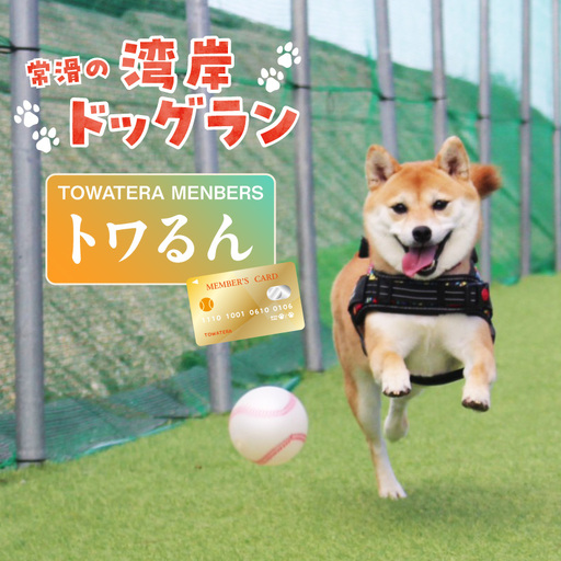 [TOWATERAメンバーズ]ドッグラン、ペットホテルなどをお得に利用できる「トワるん」会員入会| ペット 常滑市