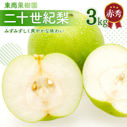 東商果樹園 二十世紀梨 (赤秀) 3kg【8月下旬以降お届け】