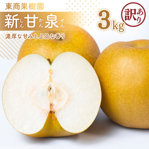 東商果樹園 新甘泉 (訳あり) 3kg【8月下旬以降お届け】