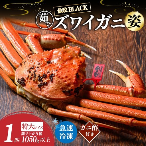[蟹の匠 魚政]魚政BLACK 茹でズワイガニ[急速冷凍]特大サイズ 1杯[姿のまま]カニ酢付き