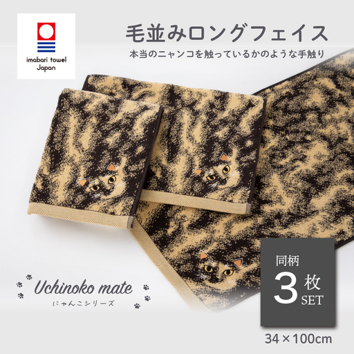 (今治タオル)Uchinoko mate にゃんこシリーズ 毛並みロングフェイスタオル3枚セット(錆/トーティシェル)