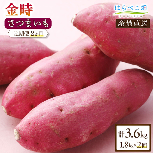 [定期便2ヶ月]さつまいも 金時 1.8kg