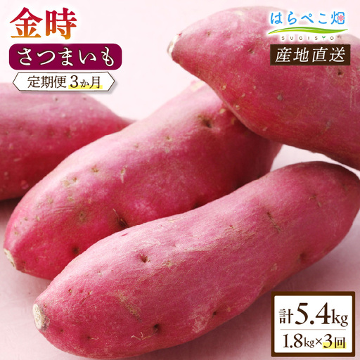 【定期便3ヶ月】さつまいも 金時 1.8kg・H127