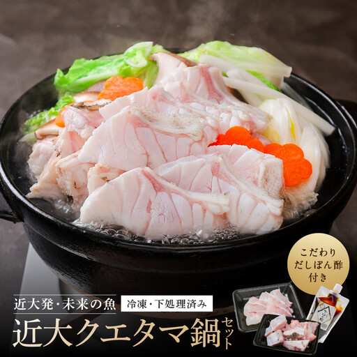 近大クエタマ鍋セット500g(2026年11月下旬〜12月中旬発送)