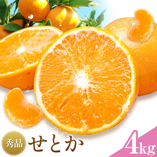 せとか 秀品 4kg