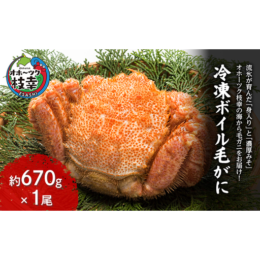 冷凍ボイル毛がに 約670g×1尾 毛ガニ