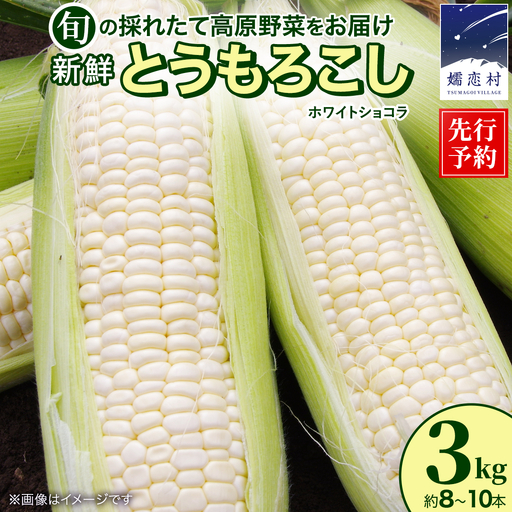 [8月下旬発送開始]とうもろこし ホワイトショコラ 3kg(8〜10本) [BT006tu]