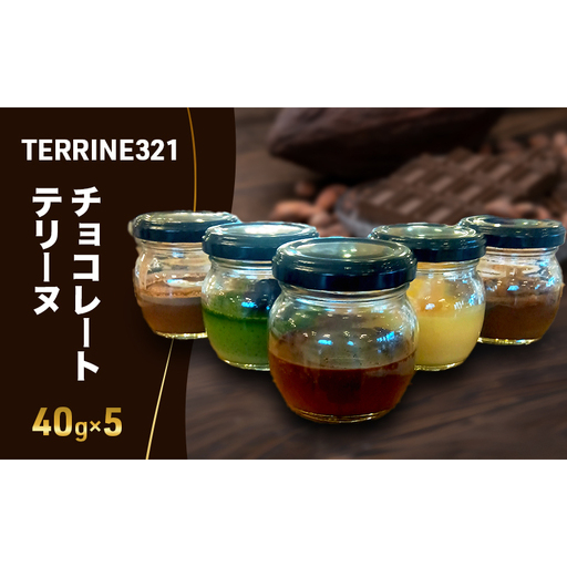 チョコレートテリーヌ40g×5 お菓子 洋菓子 スイーツ おやつ チョコレート チョコ テリーヌ 贈り物 ギフト ご褒美 
