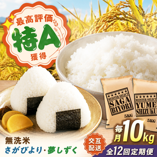 【12回定期便】 無洗米 毎月 10kg （さがびより・夢しずく交互お届け） 無洗米 お米 白米 精米 佐賀県産 米 /大塚米穀店[UFE025]