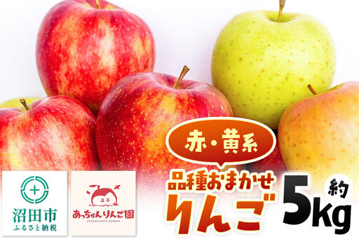 《11月上旬～下旬にお届け》品種おまかせ りんご 約5kg（13～18個前後）箱入り あっちゃんりんご園