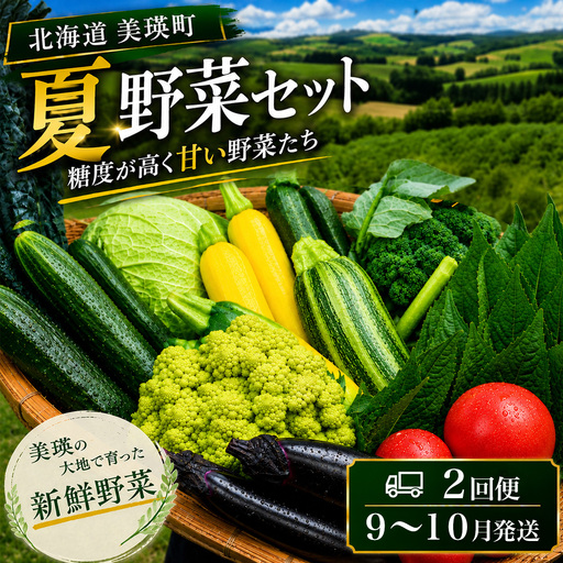 [令和8年産]旬の野菜7〜9種の詰め合わせセット 定期便 2回便 9月〜10月発送 美景農園