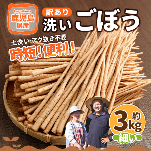 鹿児島県産 洗い【細い】 ごぼう 約3kg 【規格外・訳あり品】【2026年12月上旬-3月下旬発送予定】 ZS-9101