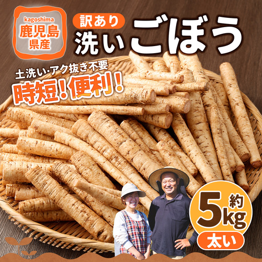 鹿児島県産 洗い【太い】 ごぼう 約5kg 【規格外・訳あり品】【2026年12月上旬-3月下旬発送予定】 AS-4115