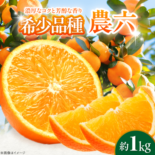 みかん 農六 約1kg【2月上旬から3月下旬まで順次発送】 / フルーツ 果物 蜜柑 ミカン オレンジ 小玉 甘い 先行予約 1kg 愛媛 / 愛媛県砥部町/和氣隆司[BJBF002]